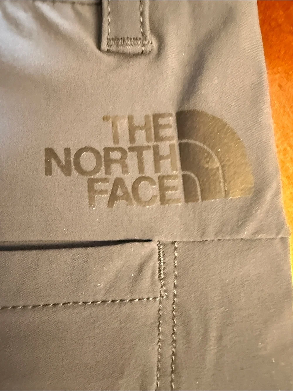 The North Face Men's Slate Blue Casual Outdoor Pants